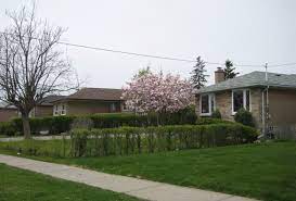 In this video we take a look at the roots of rexdale crips; Rexdale Wikipedia