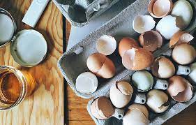 Can You Eat Too Many Eggs Egg Shells Grow Your Own Food Organic Gardening Tips