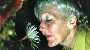 Margaret Mee, la ilustradora que reveló secretos de las flores de la  Amazonia