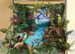Biome In A Box Tropical Rainforest Tropical Rainforest Diorama Made This For My Daughter S Science Project It Was Fun To Make And Spend Rainforest Project Jungle Decorations Animal Projects