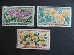 Image result for Cogniauxia podolaena