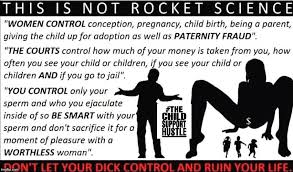 The Child Support Hustle This Meme Reiterates Just How Little Rights Men Fathers Have In Decisions Concerning Parenthood Child Support Custody In The Us And Abroad The Extreme Gender Bias