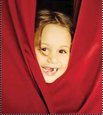 Highlands' Hydro-plant in Rep. Meadows' sights