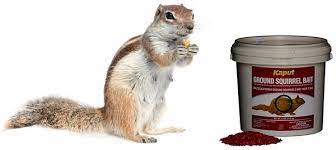 Use a combination of natural pest control practices such as. How To Get Rid Of Ground Squirrels Top 6 Best Squirrel Control Products