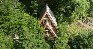 Dentro "Il Pino", Beltrame Studio disegna una casa tra gli alberi ...