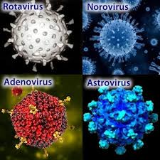 We did not find results for: Norovirus Ili Zheludochnyj Gripp Dnepryanam Rasskazali Gde Chashe Mozhno Podhvatit Novosti Dnepra