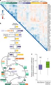 It takes every column t+1, where t ≠ 1, and divides it by t. The Functional Proteome Landscape Of Escherichia Coli Nature