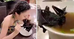 Coronavirus Blamed On Chinese Bat Soup As Footage Of People Eating ...