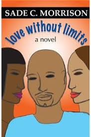 Buy Love Without a Limit Books By Erica Lola King at Bookswagon & Get Upto  50% Off