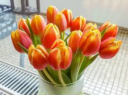 Feiertage im jahr 2021 staatsfeiertag: Tag Der Tulpen National Tulip Day Usa 13 Mai 2021