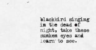 Blackbird Singing In The Dead Of Night Lyrics Blackbird The Beatles Cool Words Favorite Words Words