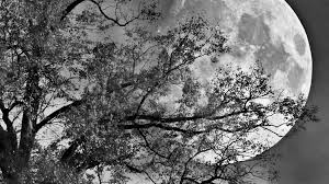 Your fav is going to the black and white. Black And White Sad On Tumblr