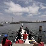 Free - Learn to Row event