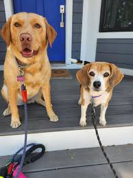 ALDI Aisle of Shame Community