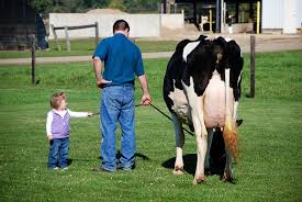 Fonduri europene 2017 pentru tineri. Fonduri Europene Pentru Tineri Fermieri 10 Lucruri De Care Trebuie Sa Tii Cont Stiriagricole Ro