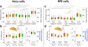 Check spelling or type a new query. The Relative Densities Of Cell Cytoplasm Nucleoplasm And Nucleoli Are Robustly Conserved During Cell Cycle And Drug Perturbations Biorxiv