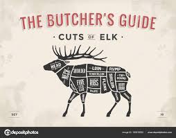 Elk Meat Cuts Chart Cut Meat Set Poster Butcher Diagram