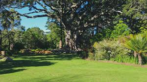 Best Parks In Cape Town And What To Do When You Re There Crush