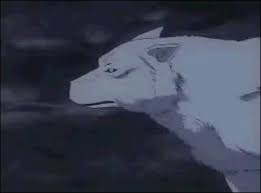 Wolf's rain is an original anime created by keiko nobumoto, the screenwriter for cowboy bebop. Anime Wolf Gif Anime Wolf Run Discover Share Gifs
