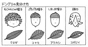 食農教育 2007年11月号 いのちのつながりを伝える ドングリクラフト