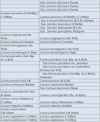 Image result for Lactuca lasiorhiza