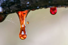 You can use alcohol, nail polish remover. Removing Tree Sap From Vinyl Floor Thriftyfun