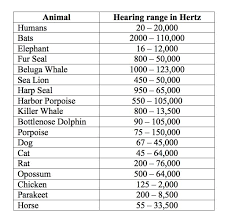 Pin By Cory Keller On Charts Music Animals Album