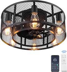 Depuley Caged Ceiling Fan with Light