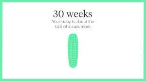 This week the fetus growing inside of me is a big as a cauliflower! 30 Weeks Pregnant Symptoms Tips And More