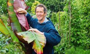 Banana tree growing instruction & requirement banana tree info: Monty Don On Why You Should Grow A Banana Plant In Britain Daily Mail Online