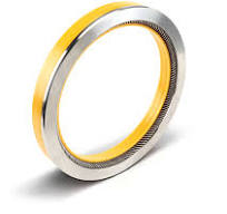 Rotary Shaft Seals | Bal Seal® | Bal Seal Engineering