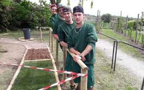 In diesem artikel finden sie eine übersichtsliste der berufsschulen des gartenbaus in deutschland. Hier Wird Europa Gelebt