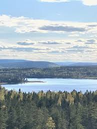 Du har sökt efter bostäder i följande städer: Utkiken Overfalle Arnasvall Vasternorrland Kust