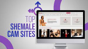 Trans cam sites