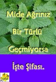 Nigde Agrisina Birebir Cayi Demle Ic Panosundaki Pin