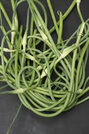 Garlic Scapes Garlic Scapes Garlic Bulb Garlic
