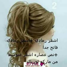 Pin By ام ريان منشو On اصباغ الشعر Hair Styles Hair Sytles Ash Blonde Hair