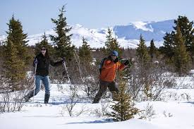 انخفاض الحرارة هو هبوط درجة حرارة لب الجسم,إن درجة حرارة الجسم الثابتة حيوية جدا لنشاط وعمل أجهزة الجسم,يتم اختيار إن انخفاض الحرارة نتيجة التعرض للبرد شائع بين الأشخاص المعافين، مثل المتنزهين، البحارين ومتسلقي الجبال، وكذلك بين المتشردين (الذين لا. Ù„Ù…Ø§Ø°Ø§ ØªØ¹Ø¯ Ø§Ù„Ø¨ÙˆØ³Ù†Ø© ÙˆØ§Ù„Ù‡Ø±Ø³Ùƒ ÙˆØ¬Ù‡Ø© Ù…Ù…ÙŠØ²Ø© ÙÙŠ ÙØµÙ„ Ø§Ù„Ø´ØªØ§Ø¡ Ø§Ù„Ù…Ø³Ø§ÙØ± Ø§Ù„Ø¹Ø±Ø¨ÙŠ