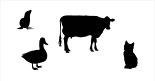 Testele cu intrebari de cultura generala cu raspunsuri iti pot dezvalui cat de multe stii cu adevarat despre lume. Quiz Uri Amuzante Si Teste Cu Intrebari De Cultura Generala Goki Ro