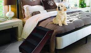 Best dog car ramp for old dogs. Dog Ramps Vs Dog Stairs And Dog Steps How Do You Decide