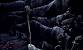 Christmas Tree Bonfire Gif