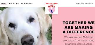 The healthy paws rescue race is a charitable initiative founded by the healthy paws foundation that supports multiple nonprofit organizations who help homeless pets. Happy Paws Puppy Rescue Happypawspuppy1 Twitter