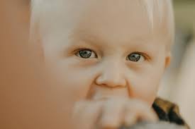 Ontario Photographer