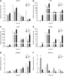 Here's the list of the lawyer: The Over Expression Of A Chrysanthemum Gene Encoding An Rna Polymerase Ii Ctd Phosphatase Like 1 Enzyme Enhances Tolerance To Heat Stress Horticulture Research