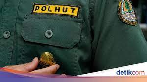 We did not find results for: Ini Syarat Jadi Polisi Kehutanan Berjiwa Petualang Dan Taat Hukum