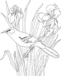 It's always easier to color anything first, before cutting and taping. Click To See Printable Version Of Mockingbird And Iris Tennessee State Bird And Flower Coloring P Bird Coloring Pages Flower Coloring Pages Free Coloring Pages