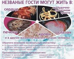 Kak Opredelit Est Li U Malysha Glisty Kak Ponyat Chto U Tebya Glisty Opredelyaem Glisty U Rebenka I Vzroslogo