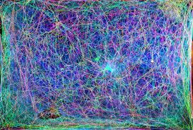 Mereka tidak membazirkan masa dan tenaga dalam. Ilmuwan Ciptakan Musik Dari Sarang Laba Laba Begini Bunyinya Uss Feed