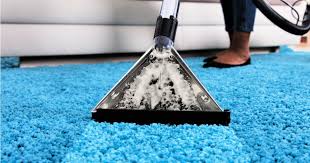 There are two options for you to use as the cleaning solution: How To Steam Clean Carpeting Non Toxic Natural Diy Cleaning
