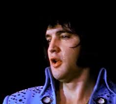 There is a song that honors all of the great rockers we have lost called  "Forever with us our Rock N Roll angels" and the video is below. it honors  prince, bowie,